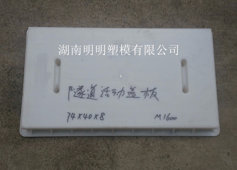 湖北湖南隧道盖板塑料模具那家好